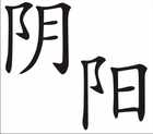 Yin und Yang Chinesisches Schriftzeichen Bild 2