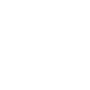 King of the Night Wandaufkleber Transparent