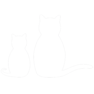 Katzen Wandaufkleber Transparent