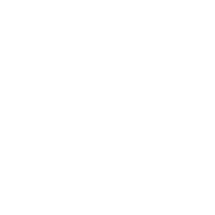 Wandtattoo galoppierendes Pferd Transparent