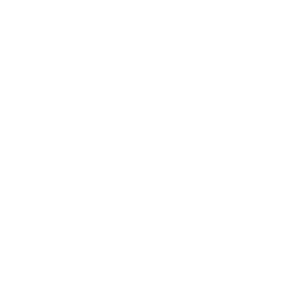 Wandtattoo Elefant Transparent